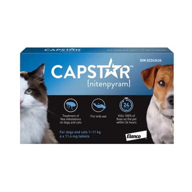 Capstar Traitement oral anti-puces pour petits chiens et chats pesant de 1 à 11 kg - paquet de 6
