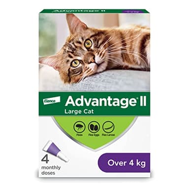 Advantage II Protection anti-puces pour chats de grande taille pesant plus de 4 kg (plus de 9 lb) - 4 doses